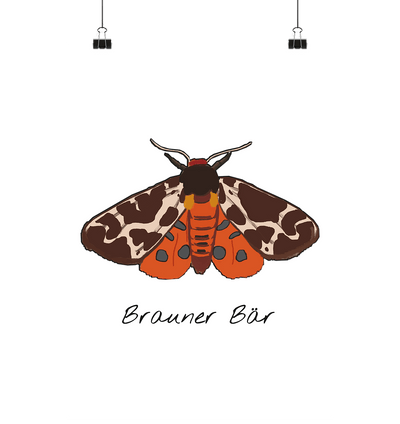 Brauner Bär - Poster Din A4 (hoch) - Sauba Bleim
